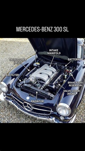 Mercedes-Benz 300 SL.#automobile #cars #car #engine #mercedes #mechanical #shortsfeed #carenthusiast