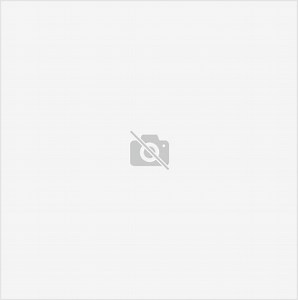 Two's Company by Sir Roland Penrose | National Galleries of Scotland