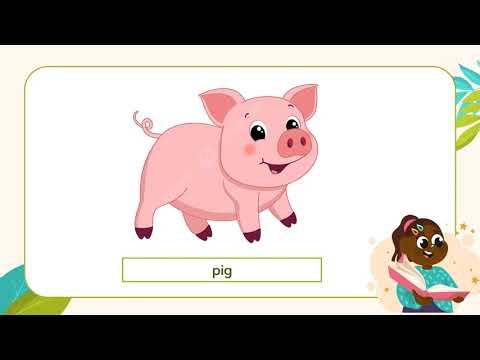 Little Learning Stars A Unit 5 Lesson 3 4