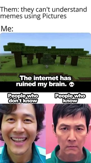 Only legends will understand this picture. #shorts #foryou #mincraft #oldminecraft