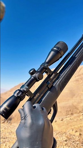 Gamo Chacal Black Tactical PCP – 300 Bar Bottle Power Test!#airrifleshooting #airgun