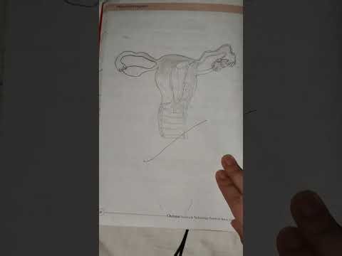 Chetna Science and technology practical book std 10th full book solution