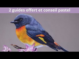Débuter le pastel sec : 2 guides offert à télécharger