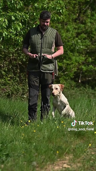 Dummy Dropper: Revolutionizing Dog Training Tools