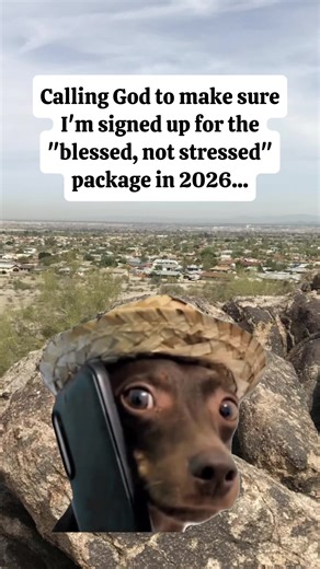 Hilarious Random Meme Cuts for Every Occasion