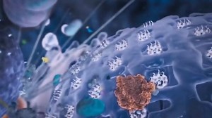 168K views · 279 reactions | Healthcare professionals everywhere can no longer ignore the impact stem cells are having on multiple health conditions. That’s why our friends at The Healing Miracle have created this 9-part docuseries featuring 56 of the world’s foremost authorities in the new medicine of the stem cells. This is a documentary you don't want to miss and for a very limited time, you can sign up to watch the series for FREE → bit.ly/2MEvhq9 | Jonathan Otto | Facebook