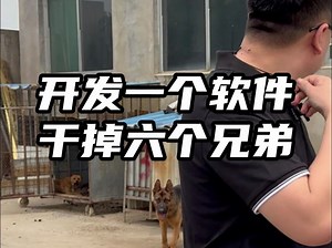 开发一个软件干掉六个兄弟