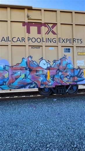 Proper Train Etiquette 101 💪 @we_face_down_in_the_soup⁠ ⁠ #graffiti #freight #graff #freightrain #boxcar #letters #spraypaint #graffitiart #smart #bombingscience | Bombing Science