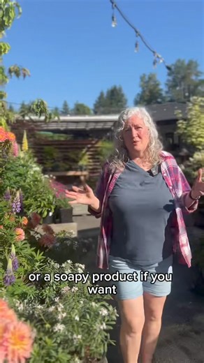 48K views · 1K reactions | If you're dealing with aphids in your...