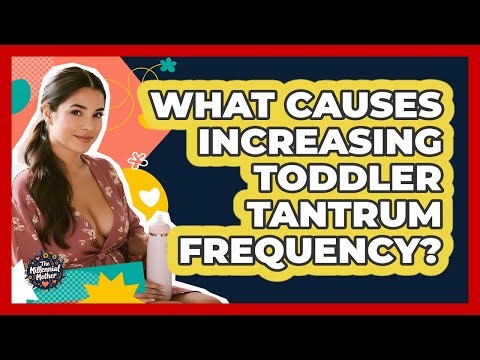 What Causes Increasing Toddler Tantrum Frequency? - The Millennial Mother