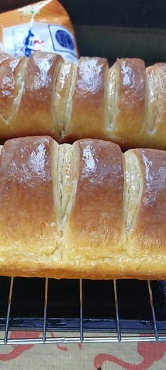 Rabbit House บน TikTok