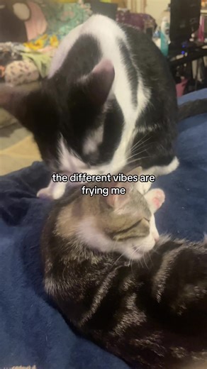 the way she beat tf out of him im crying omg