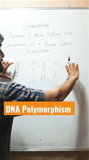 DNA Polymorphism