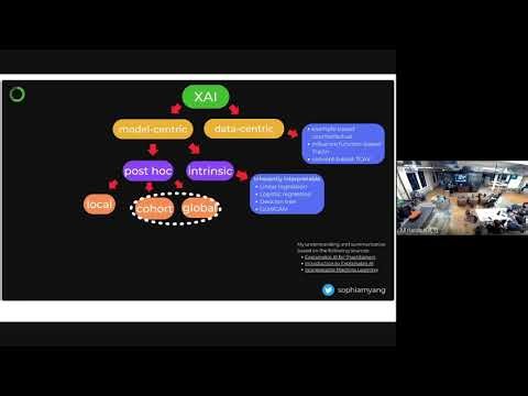 Sophia Yang: AI explainability