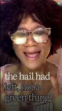 The Unprecedented Locust Plague