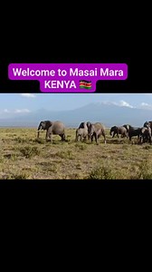 1.1K views · 45 reactions | Massai Mara Kenya #followerseveryonehighlights #elephant #elephantsafari #followersreelsfypシ゚viralシfypシ゚viralシalシ #safari #mara | Rashid Abdallah Hassan | Facebook