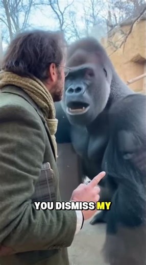 Philosophy professor argues with gorilla about Heidegger