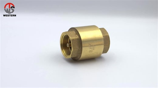 M/F  PN40 Brass Ferrules Valve Sanitary 3/8  Small Non Return Check Valve 1 Inch