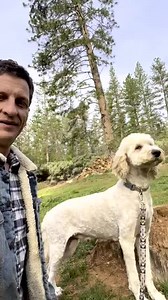 6.6K views · 804 reactions | Look at the first mommy doodle!! She...