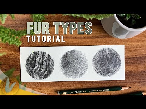How To Draw Fur Types Tutorial - How To Draw Short Fur, Long Fur, and Wavy Fur with Pencil