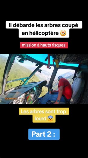 Dangerous Helicopter Logging: A Glimpse into Forestry Challenges in France