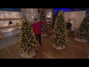 Bethlehem Lights Incandescent Sequoia Christmas Tree on QVC
