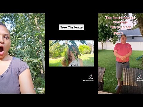 6 Tik Toks that PROVE that Trees Can Hear Us