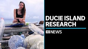 Researchers to visit remote island for first time in 30 years