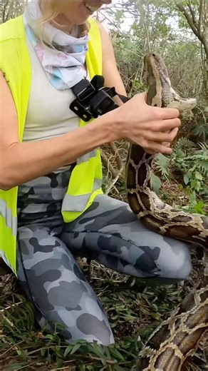 👩‍🦳vs 🐍Python bone breaker Pt2🫪 #TeeziAmor #Howto survive snake attack snakaholic #animals ❤️