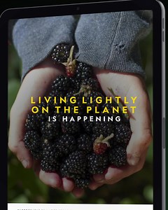 Discover ways to live more lightly with Planet Possible, a curated hub of stories about the earth and its future. | National Geographic