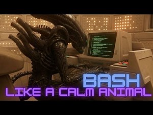 Bash & Shell Explained in 6 Minutes | From Shebang to Automation