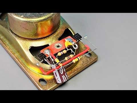 DIY Bird Sound Doorbell Using Basic Parts