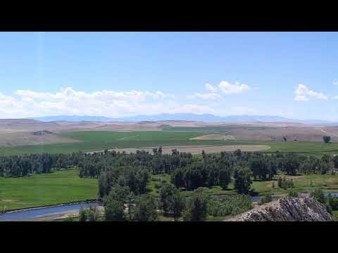 Art Stream: Creepy Deer Textures and Shading