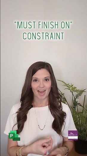 Minute Knowledge - CPLI: DCMA 14 Pt - MS Project