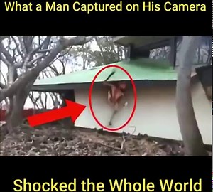 What a Man Captured on His Camera Shocked the Whole World | Mysterious & Discovery