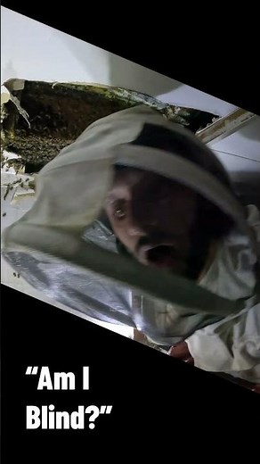 Bee Removal Behind The Scenes | The Missing Piece