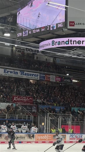 Join Me for a Sunday Home Game with Straubing Tigers