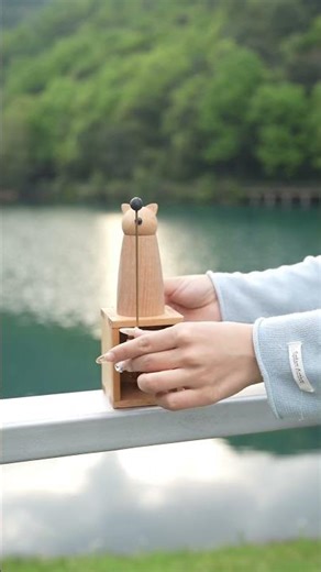 Moyustore Wooden Dynamic Bionic Kit