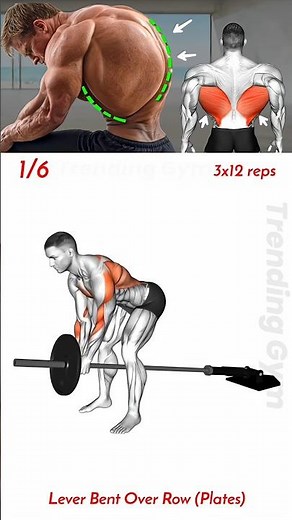 How to Build a Wider Back Fast | Ultimate Back Exercises