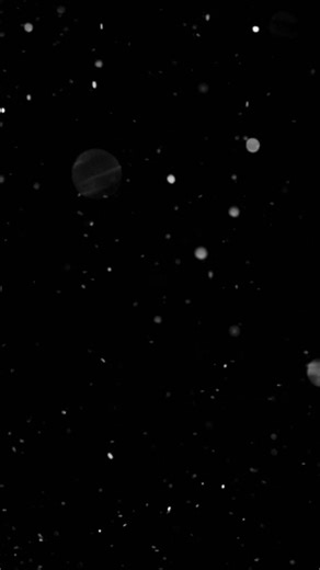 🥷🏽Komatares🎶 (@la.mi.antonia)’s videos with πρωτότυπος ήχος - Polytalados Music