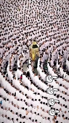 Exploring Madinah: The City of the Prophet