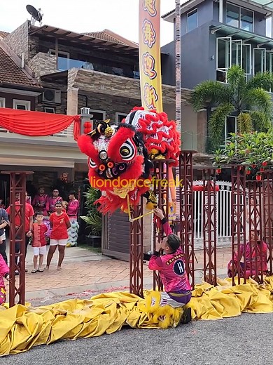 Chinese New Year 2024 Acrobatic Lion Dance and Dragon Dance Performance