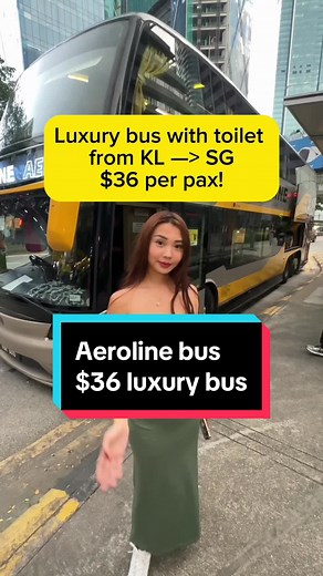 Luxury Bus Tour: Aeroline Bus from Kuala Lumpur to Singapore