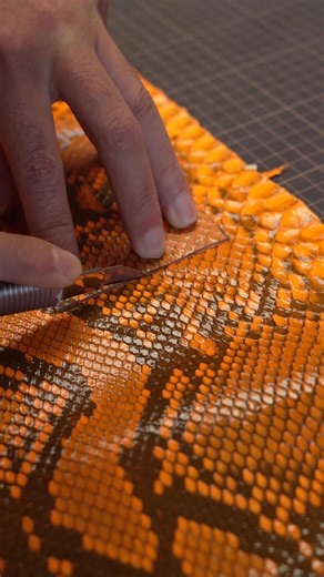 Orange Python skin phone case #giftideas #privatelable#smallbatchproduction #luxuryphonecase