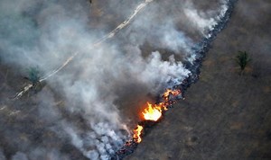 Amazon rainforest fires: Is the Amazon rainforest still burning?