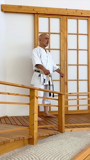 🇺🇸 TEKKI SANDAN Tekki sandan completes the Tekki-Kata series. Due to the constant double techniques and partly very complex arm movements, which are executed fluently, this kata requires a lot of coordination. The typical feature of all Tekki-Kata - arm techniques and upper body work with constant kiba dachi - is particularly evident in the third Tekki. Unlike the previous two Tekki, most of the techniques here are performed forward to deflect and counter attacks from that direction. ➡️🥋 Tekk