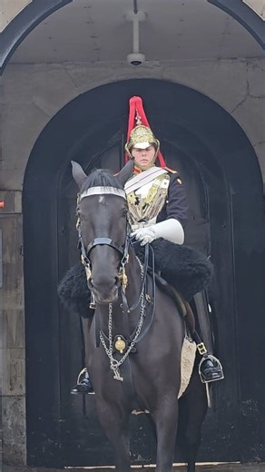 31K views · 1K reactions | An amazing female Trooper Guard proudly...