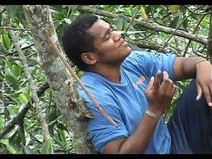 Domo Ni Savu - Au Kila