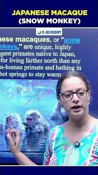 Japanese Macaque: Facts, Habitat & Behaviour | Viral Baby Punch Explained