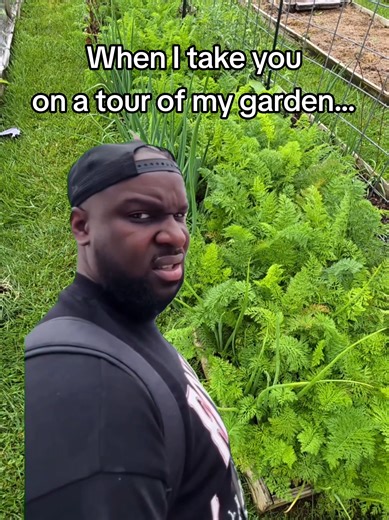 Garden Humor #gardenhumor #gardenmeme #gardenjokes